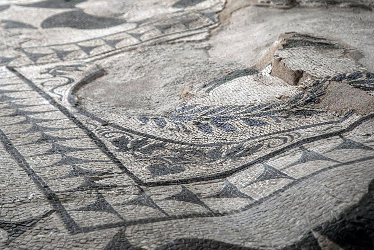 Domus Aventino Appartamento